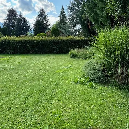 Chiemgau One